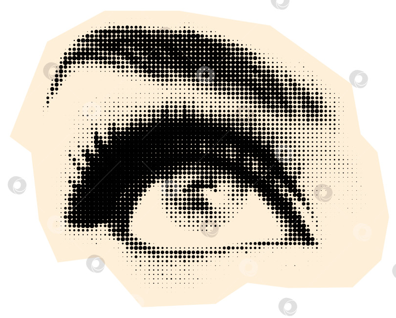 Скачать Детализированные глаза в полтона с длинными ресницами и бровями фотосток Ozero