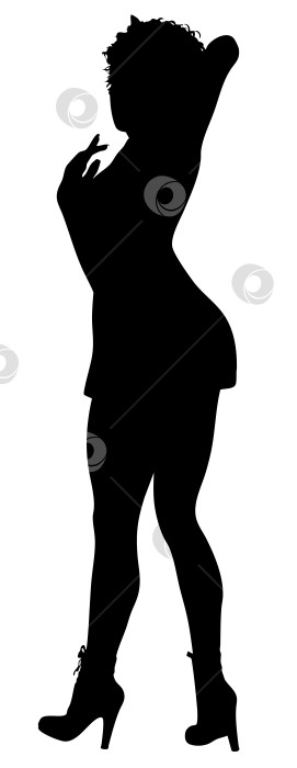 Скачать Силуэт женщины в коротком платье и на каблуках, позирующей фотосток Ozero