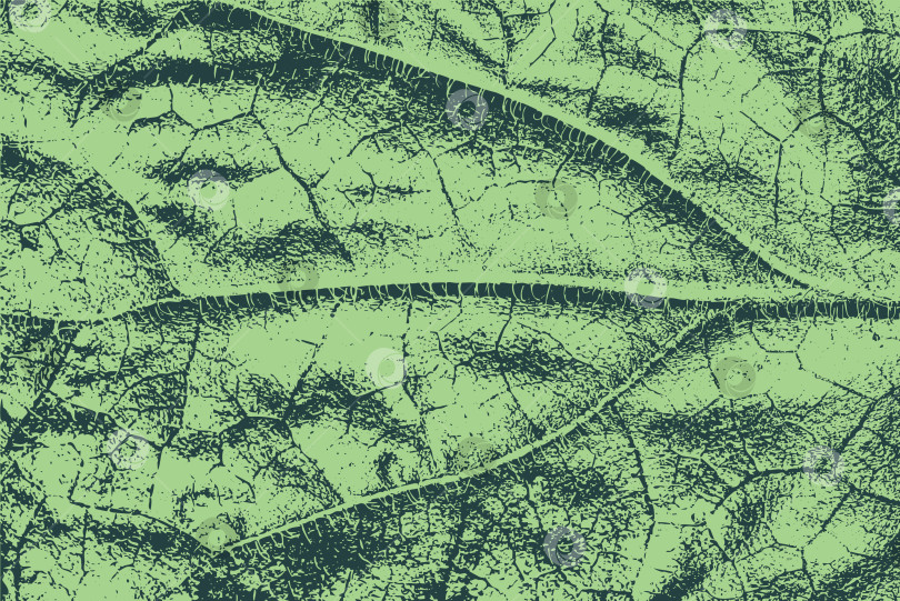 Скачать Текстурированный абстрактный фон из зеленых листьев фотосток Ozero