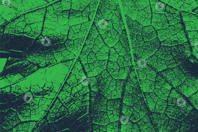 Скачать Текстурированный абстрактный фон из зеленых листьев фотосток Ozero