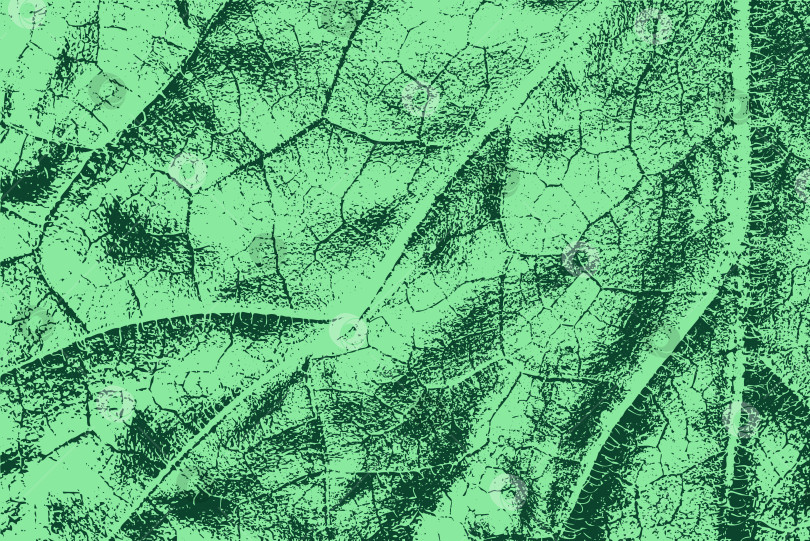 Скачать Текстурированный абстрактный фон из зеленых листьев фотосток Ozero