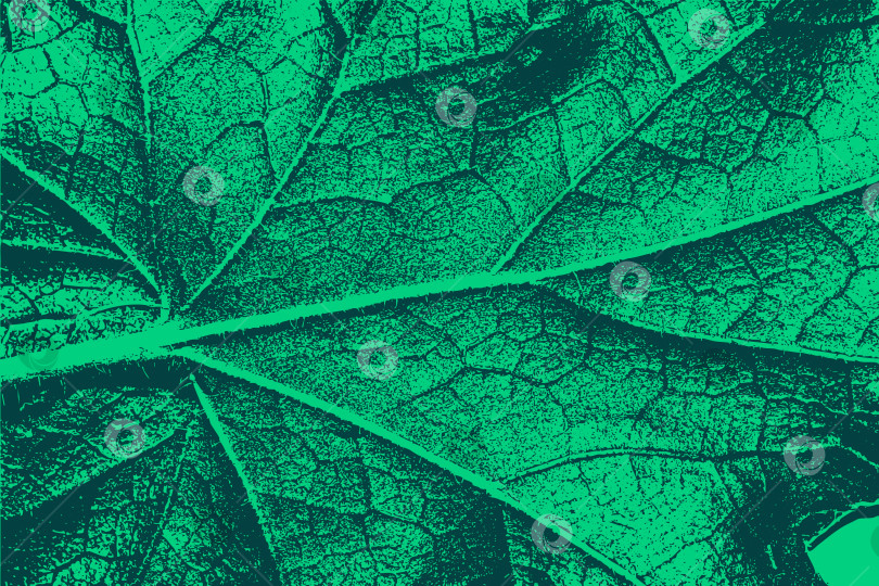 Скачать Текстурированный абстрактный фон из зеленых листьев фотосток Ozero