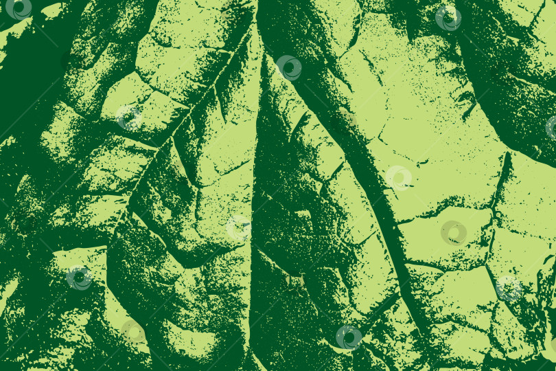 Скачать Текстурированный абстрактный фон из зеленых листьев фотосток Ozero