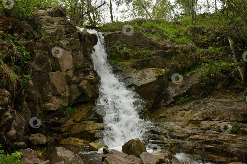 Скачать Пасмурным летним днем с вершины невысокого скалистого утеса, окруженного березовым лесом, быстрым, бурлящим потоком течет небольшой ручей. фотосток Ozero