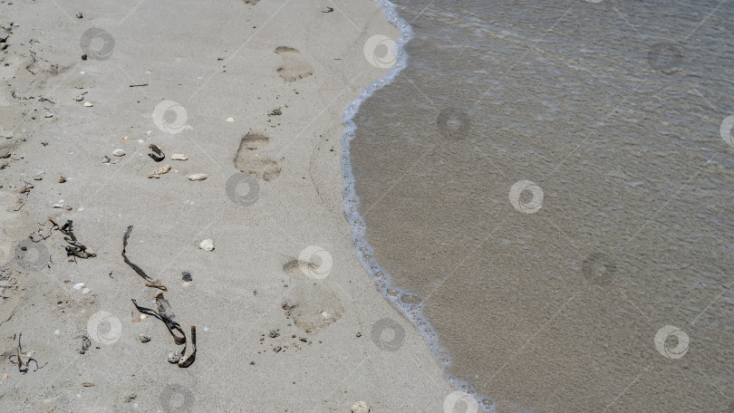 Скачать Цепочка человеческих босых следов тянется вдоль берега океана. фотосток Ozero