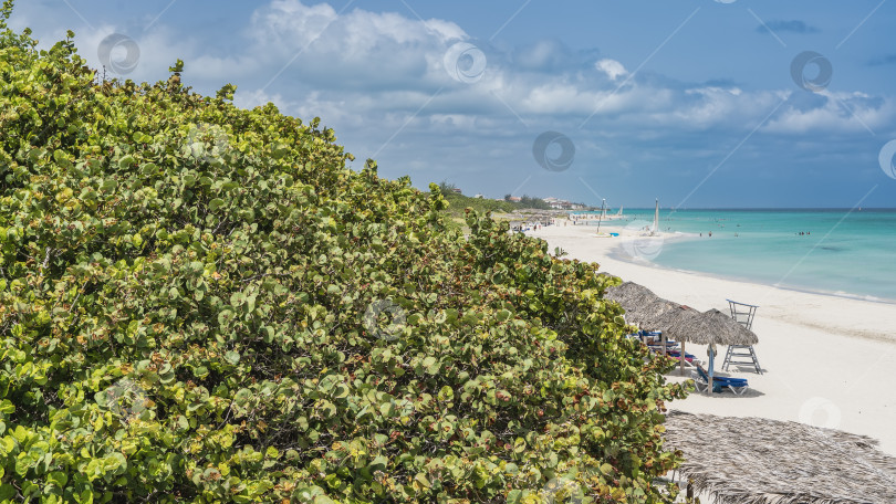 Скачать Ряд соломенных зонтиков и шезлонгов на песчаном пляже. фотосток Ozero