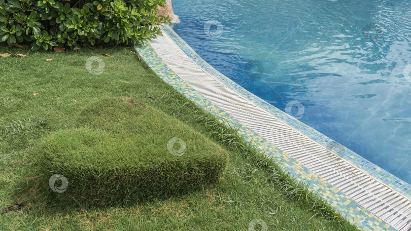 Скачать Декоративный ландшафтный дизайн парка. Зона плавательного бассейна. фотосток Ozero