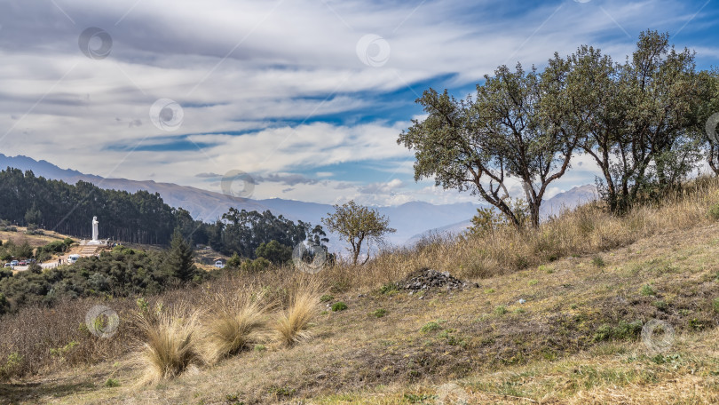 Скачать На склоне холма растут пучки сухой желтой травы и зеленые деревья. фотосток Ozero