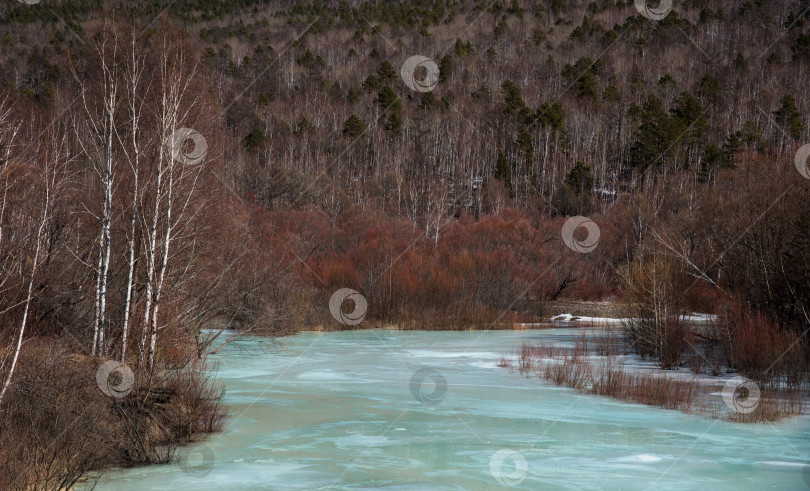 Скачать Краски весны. фотосток Ozero