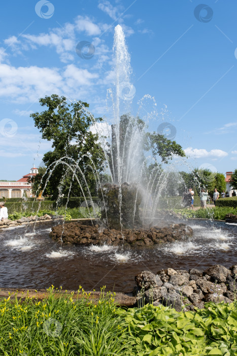 Скачать Люди собираются вокруг большого фонтана в парке в солнечный день на фоне зеленых деревьев и голубого неба - Петергоф, Санкт-Петербург, 17 июля 2025 года фотосток Ozero