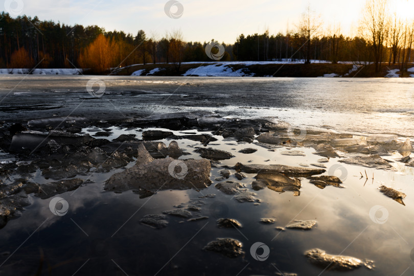 Скачать Дыхание весны фотосток Ozero
