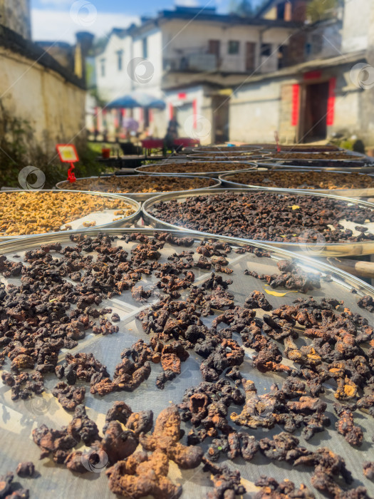 Скачать Традиционные китайские чаи ферментируются на солнце. фотосток Ozero