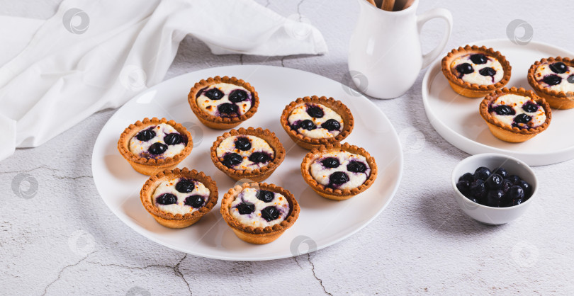 Скачать Запеченные мини-тарталетки с творогом и черной смородиной на тарелке на столе веб-баннер фотосток Ozero