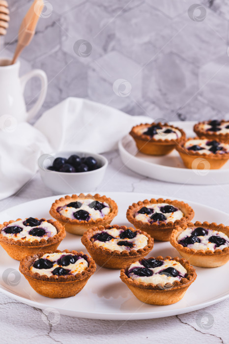 Скачать Запеченные мини-тарталетки с творогом и черной смородиной на тарелке на столе, вид сверху фотосток Ozero
