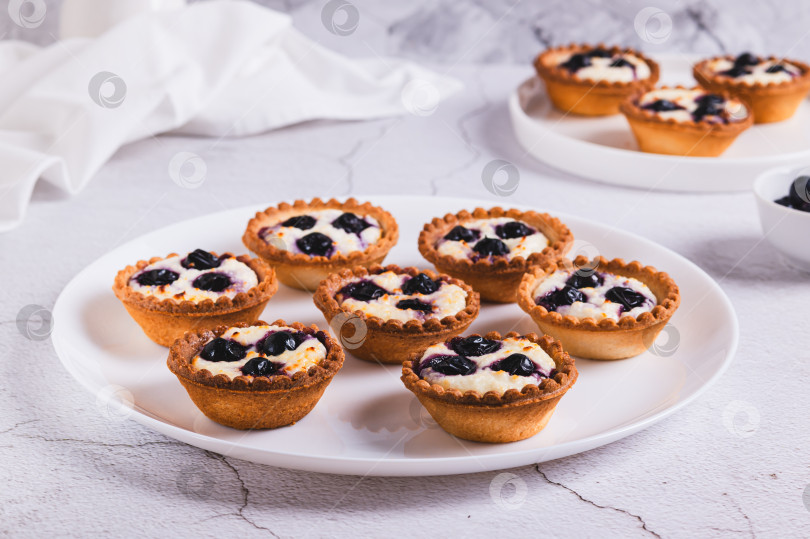 Скачать Запеченные мини-тарталетки с творогом и черной смородиной на тарелке на столе фотосток Ozero