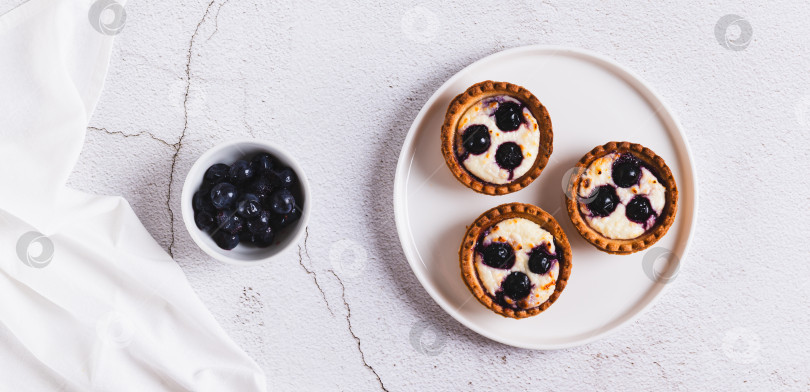 Скачать Мини-пирожные с творогом и ягодами на тарелке на столешнице посмотреть веб-баннер фотосток Ozero