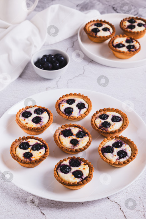 Скачать Мини-пирожные с творогом и ягодами на тарелке на столе, вид сверху фотосток Ozero