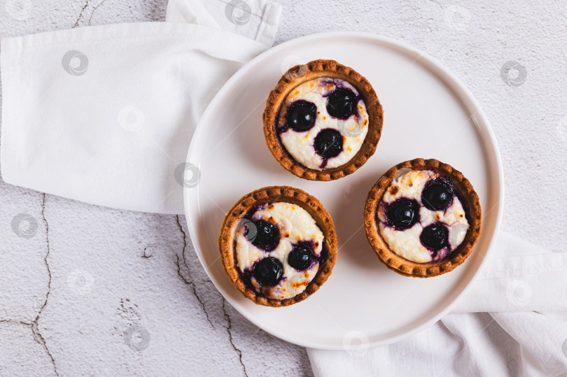 Скачать Запеченные мини-тарталетки с творогом и черной смородиной крупным планом на тарелке на столе вид сверху фотосток Ozero
