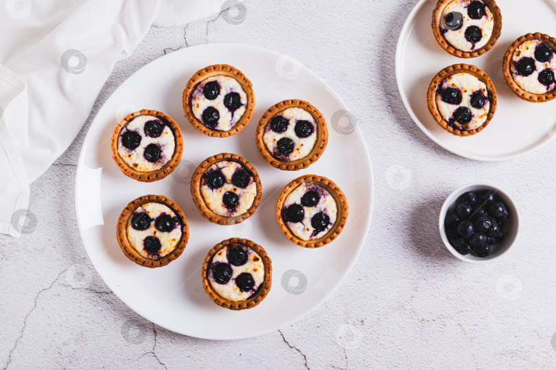 Скачать Запеченные мини-тарталетки с творогом и черной смородиной на тарелке на столе вид сверху фотосток Ozero