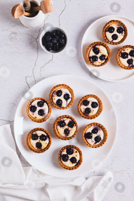 Скачать Мини-пирожные с творогом и ягодами на тарелке на столешнице и в вертикальном виде фотосток Ozero