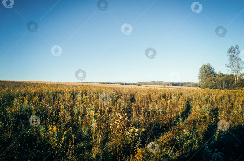 Скачать Сельская грунтовая дорога в ясный летний день фотосток Ozero