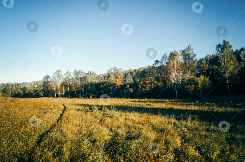 Скачать Сельская грунтовая дорога в ясный летний день фотосток Ozero