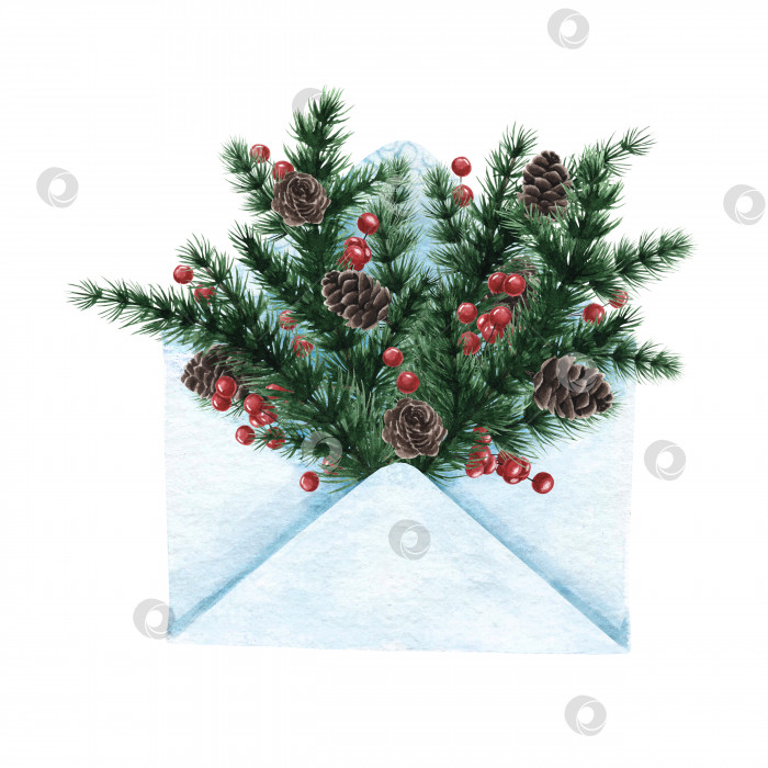Скачать Акварельная иллюстрация зимних еловых веток в бумажном конверте. фотосток Ozero