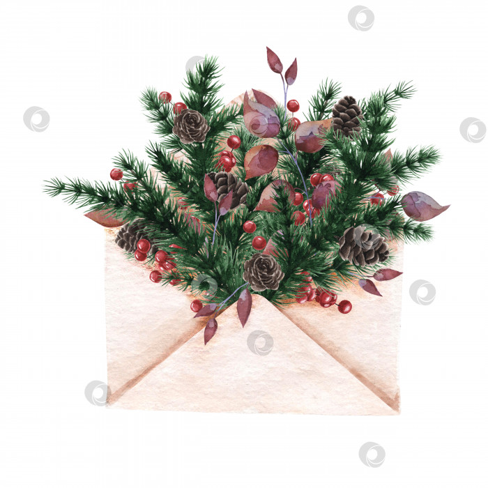 Скачать Акварельная иллюстрация зимних еловых веток в бумажном конверте. фотосток Ozero
