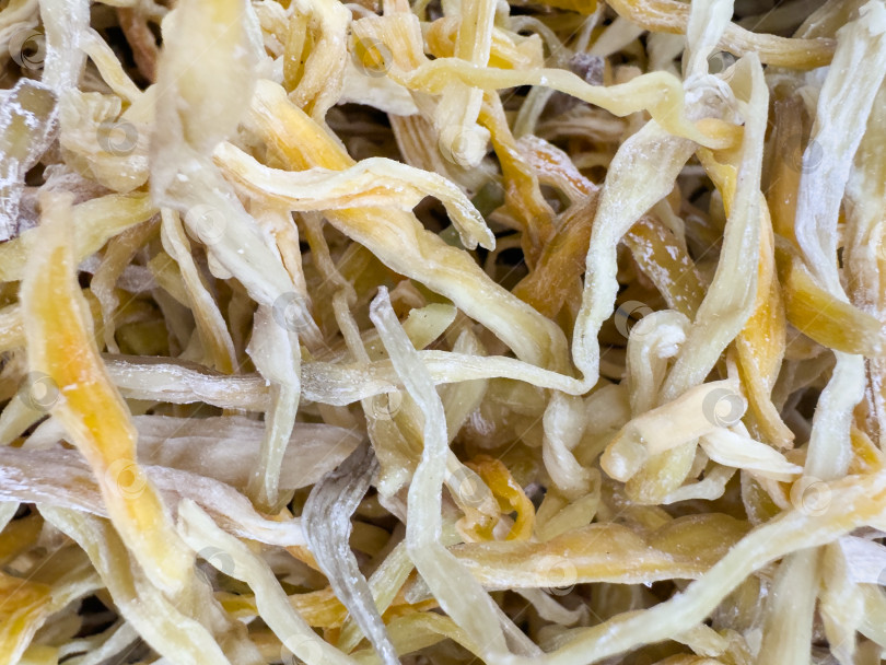 Скачать Золотистые иголки и засохшие бутоны лилейника крупным планом. фотосток Ozero