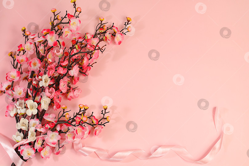 Скачать Нежные розовые ветки сакуры на солнечном фоне, элегантный красочный баннер и шаблон для вашего творчества, абстрактная весенняя цветочная композиция фотосток Ozero