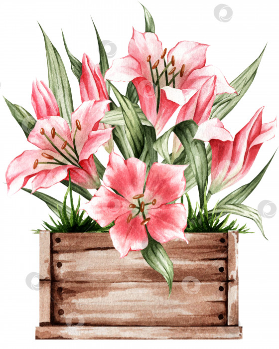 Скачать Коробка с лилиями Весенняя иллюстрация нежных растений. Отлично подходит для наклеек, декора, открыток и многого другого. фотосток Ozero