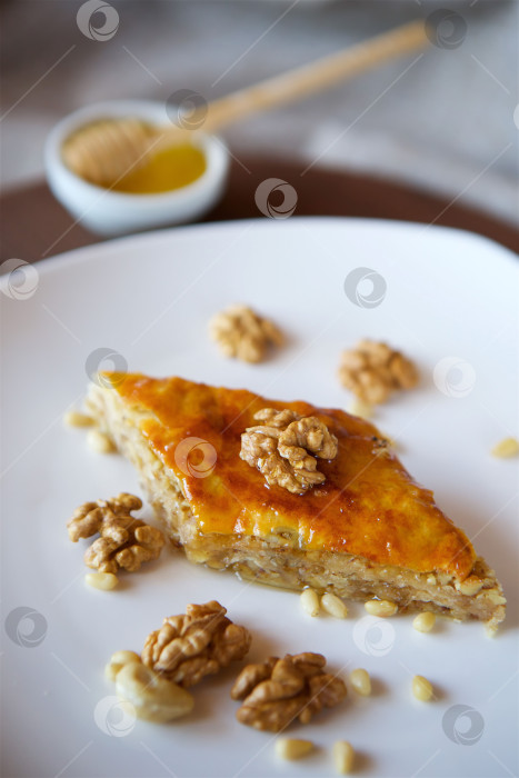 Скачать Десерт крупным планом - это кусочек торта с грецкими орехами, медом и кедровыми орешками. фотосток Ozero