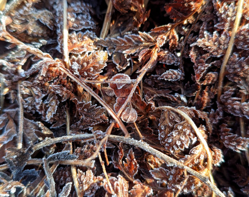 [object Object] undefined
