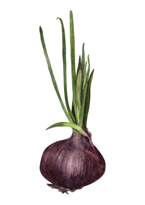 [object Object] undefined