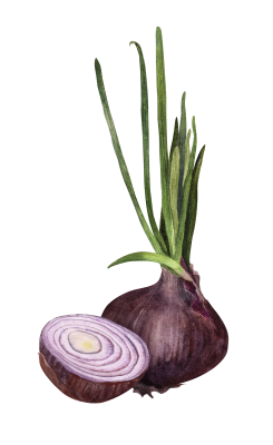 [object Object] undefined