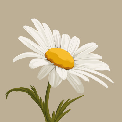 [object Object] undefined
