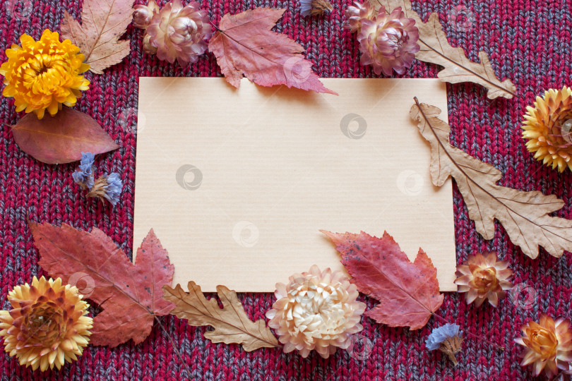 Скачать макет открытки из крафт-бумаги с сухими осенними цветами и листьями на серо-бордовом вязаном фоне фотосток Ozero