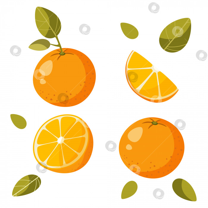 Скачать один апельсин на белом фоне с листиком, без листика, половинка апельсина. векторная иллюстрация. нарезанный апельсин, четвертинка апельсина, дольки апельсина фотосток Ozero