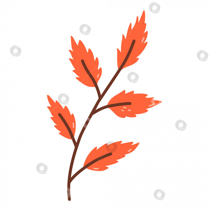 Скачать Веточка с оранжевыми листьями, выделенными на белом фоне фотосток Ozero