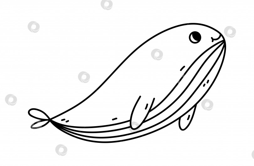 Скачать Симпатичный кит, изолированный на белом фоне. Векторная рисованная иллюстрация в стиле каракулей. Идеально подходит для украшений, логотипа, различных дизайнов. фотосток Ozero