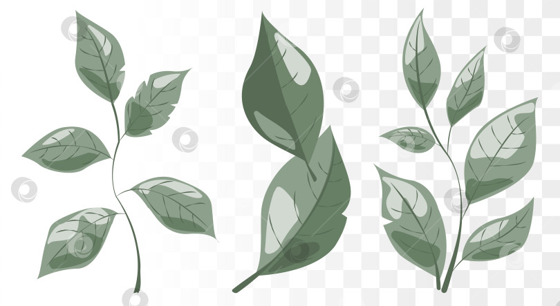 Скачать Вектор Dusty Sage Green Leaf представляет собой набор минималистичных ботанических иконок для экологичного брендинга, роскошной упаковки средств по уходу за кожей и создания образа хорошего самочувствия. Чистые дорожки фотосток Ozero