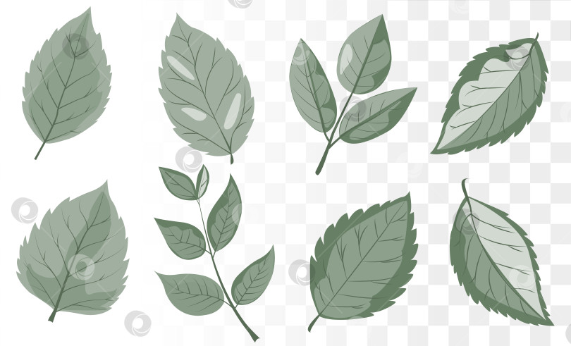 Скачать Вектор Dusty Sage Green Leaf представляет собой набор минималистичных ботанических иконок для экологичного брендинга, роскошной упаковки средств по уходу за кожей и создания образа хорошего самочувствия. Чистые дорожки. фотосток Ozero