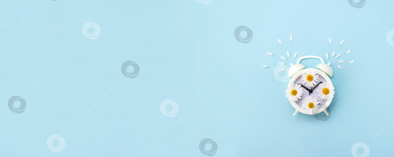 Скачать Будильник украшен цветами и лепестками ромашки на светло-голубом фоне. Баннер с началом нового дня. Пространство для копирования. Избирательный фокус фотосток Ozero