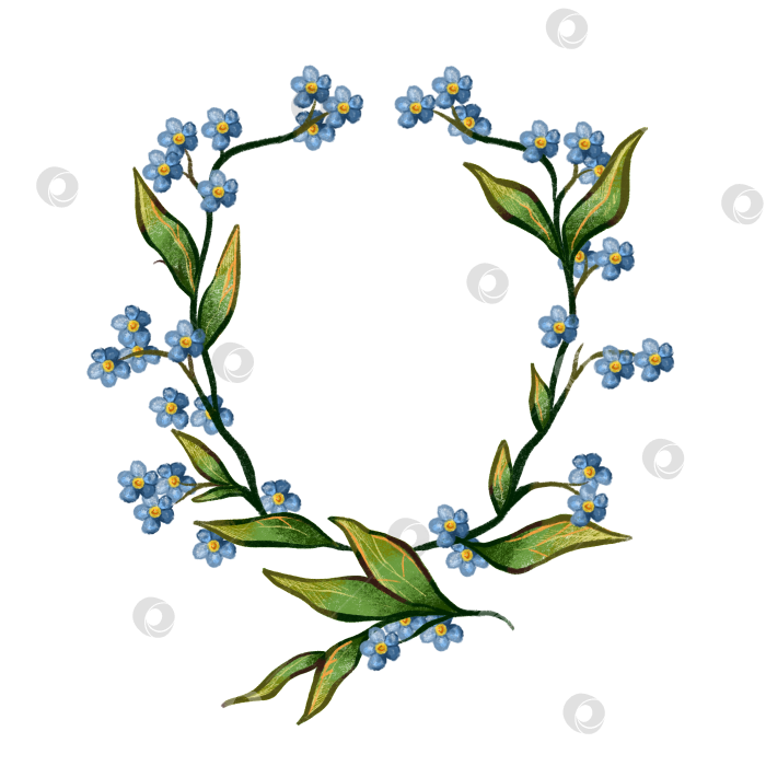Скачать Венок из незабудок фотосток Ozero