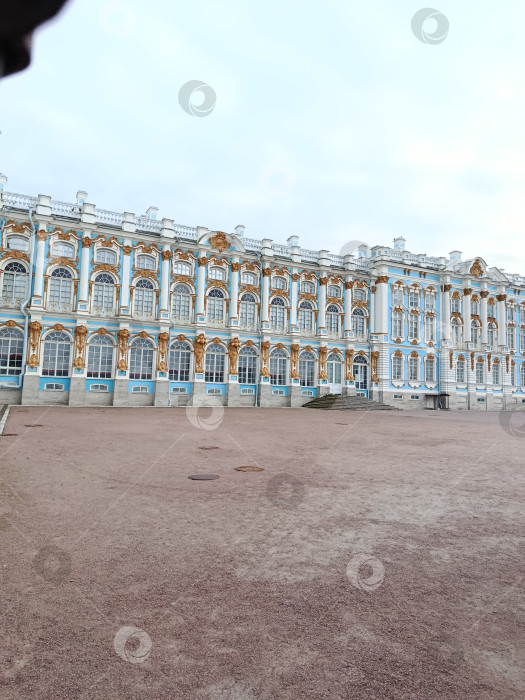 Скачать Екатерининский дворец в Пушкине фотосток Ozero