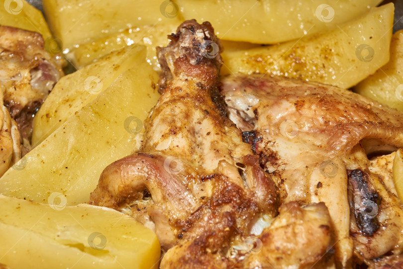 Скачать Запеченные в духовке кусочки курицы с ломтиками картофеля и смесью приправ. фотосток Ozero