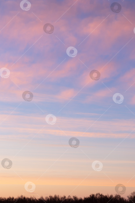 Скачать Закатное небо с розовыми и серыми облаками фотосток Ozero