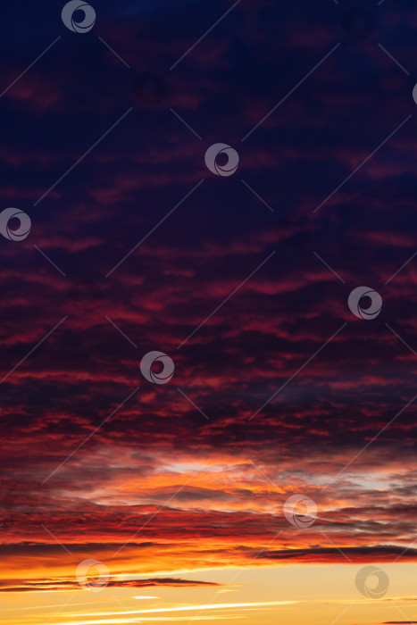 Скачать Закатное небо, оранжевые и розовые облака фотосток Ozero