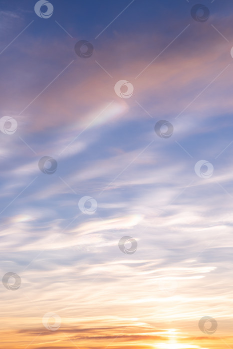 Скачать Закатное небо с легкими белыми облаками фотосток Ozero