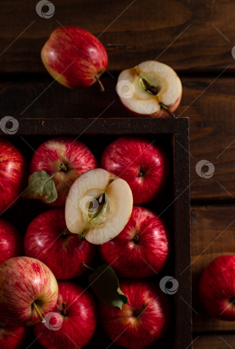 Скачать Спелые яблоки и одно разрезанное пополам фотосток Ozero